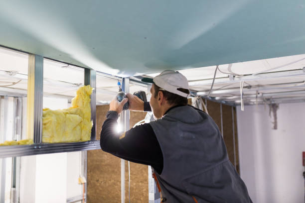 Best Insulation Inspection Services  in Robbins, NC