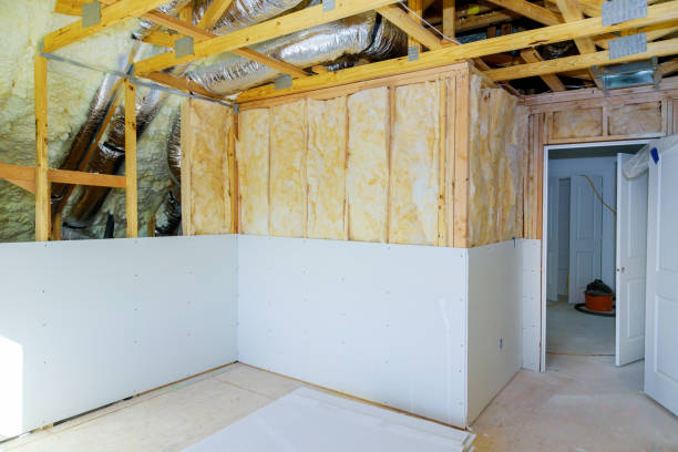 Best Cellulose Insulation  in Robbins, NC