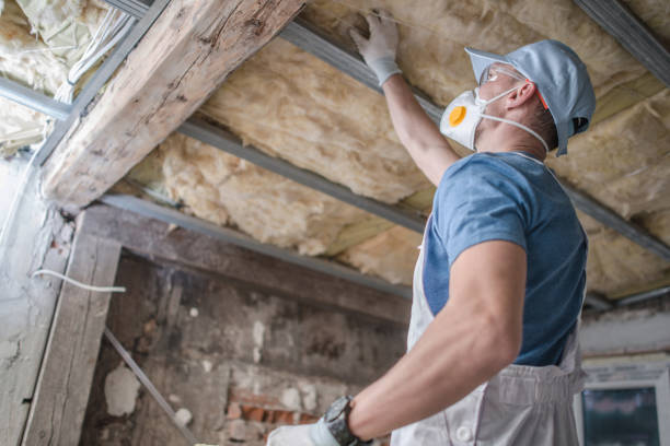 Best Wall Insulation Contractor  in Robbins, NC