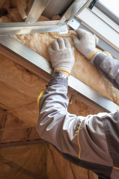 Best Insulation Replacement Services  in Robbins, NC