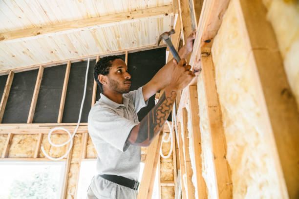Best Insulation Inspection Services  in Robbins, NC